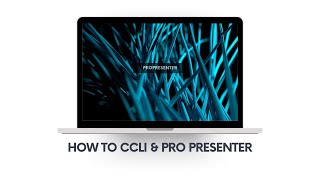CCLI & LOOKS