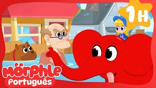 O elefante d'água 🐘 Garagem do Gecko OR Mila e Morphle em Português | Desenhos Animados