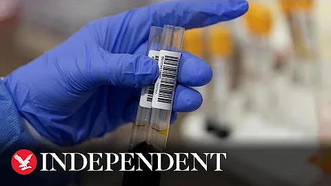 Watch again: World Health Organisation holds coronavirus press conference