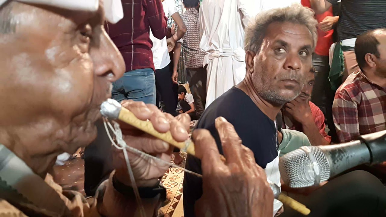 عروسی بندرکنگ