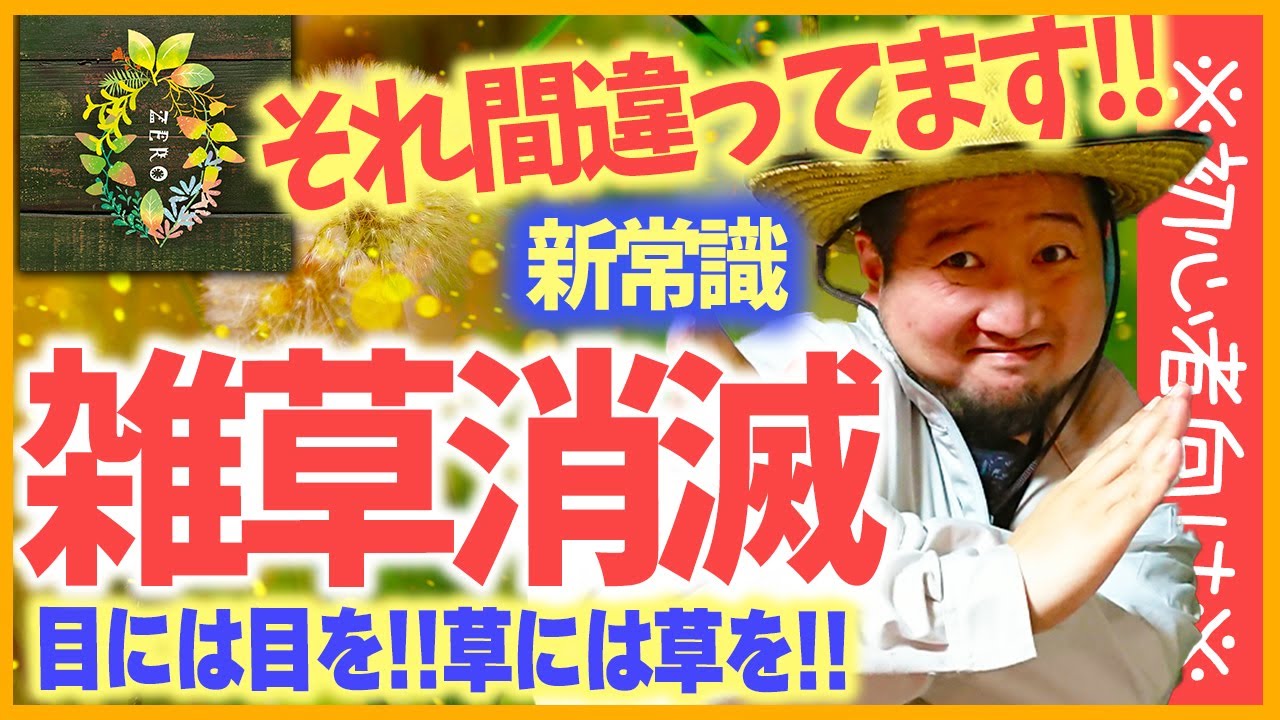 ※最強の雑草対策※効率かつコスパ良過ぎの効果的な防ぎ方