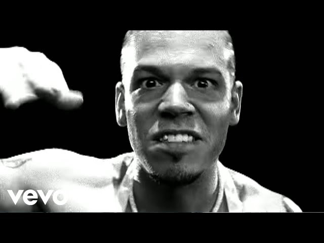 Calle 13 - Suave