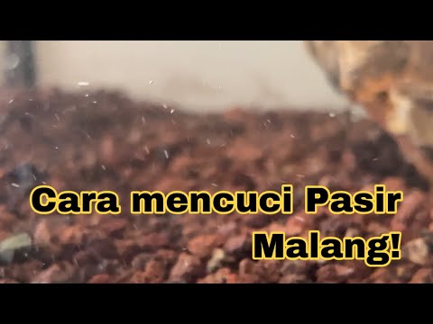 Video: Alternatif Murah untuk Persediaan Akuarium