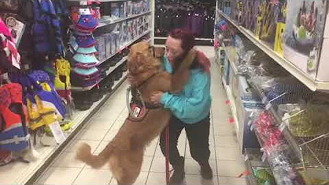 Service Dog Alerts To Seizure.