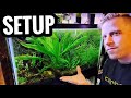 How to Set Up a Planted Aquarium - Live Plants for Beginners