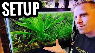 How to Set Up a Planted Aquarium  Live Plants for Beginners