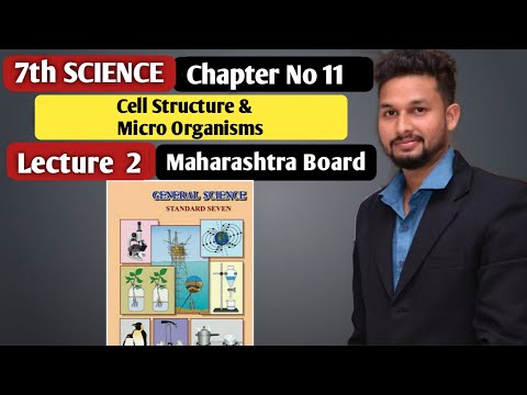 7th Science |