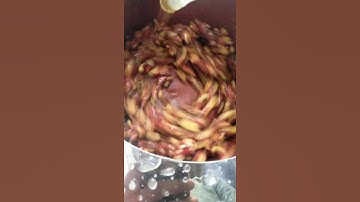 alat pengupasan jahe merah