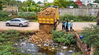 First Start New Perfect Project!! Landfill On The Flooded by Bulldozer D21P & Dump Truck Unloading S
