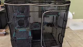 Creating a cat paradise with Kitty City