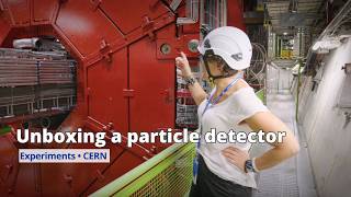 Unboxing A Particle Detector Alice Experiment At Cern