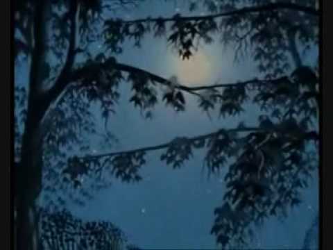 Bella Notte (Danish)