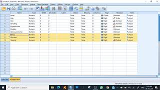 Data entry (SPSS version 20) Lesson I