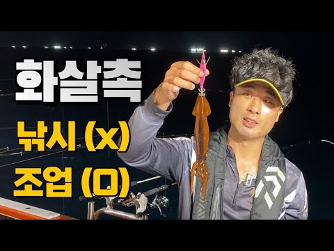 화살촉 오징어 낚시 지겹도록 잡고 또 잡고 이건 조업입니다!