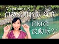 【CMC 波動転写】Magatama X