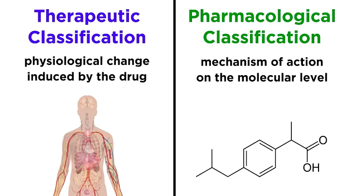 What are the three main names of drugs? (2023)