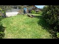 Doing some yard clean up and mowing the lawn.