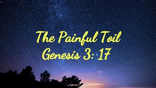 The Painful Toil Genesis 3:17 Genesis 3 17 19 Working When It S Hard Mw21 030