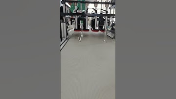 12 Cavities PET Preform Tail Cutting Device with Conveyor