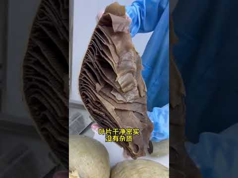 Video Sách bò siêu sạch - youtube