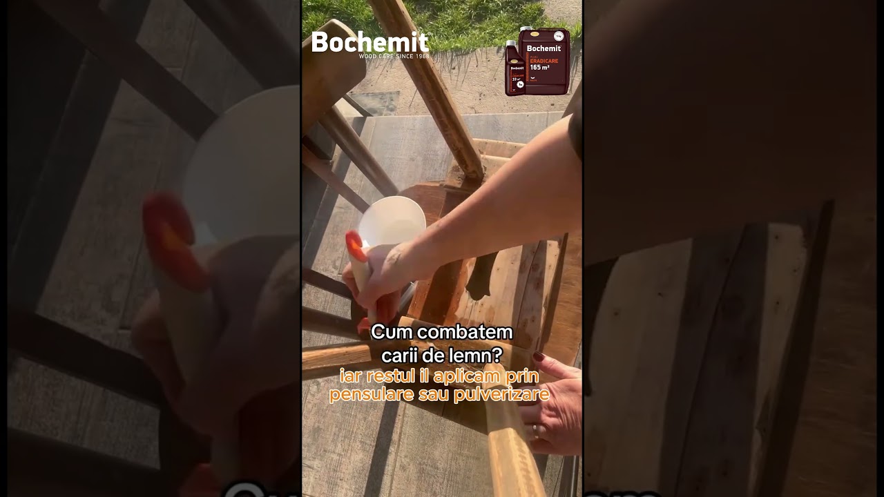 Bochemit Plus I - Erdicarea insectelor din lemn indierent de stadiul lor de dezvoltare.