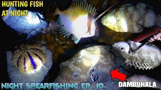 NIGHT SPEARFISHING EP. 10 | CATCHING DIFFERENT KINDS OF FISH IN LOW TIDE!