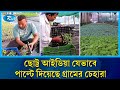 লকডাউনে ঘরে বসে দেখা ইউটিউব পাল্টে দিলো গ্রামের চেহারা  | Modern Farming | Seedling Production | Rtv