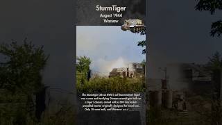 Sturmtiger - Frontline