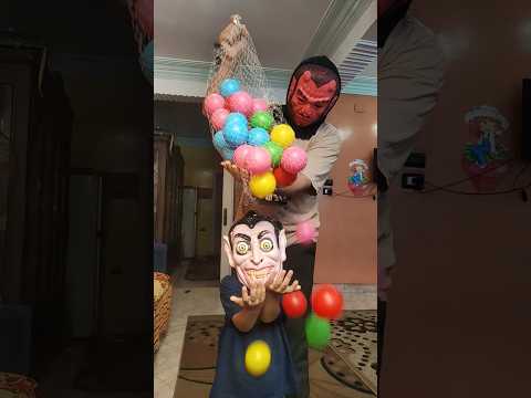 الكلب اللولو هو هو