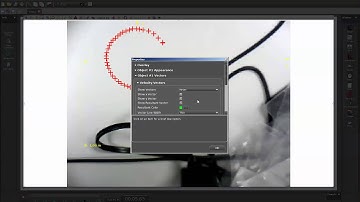 Display Video Analysis Velocity Vectors (Capstone)