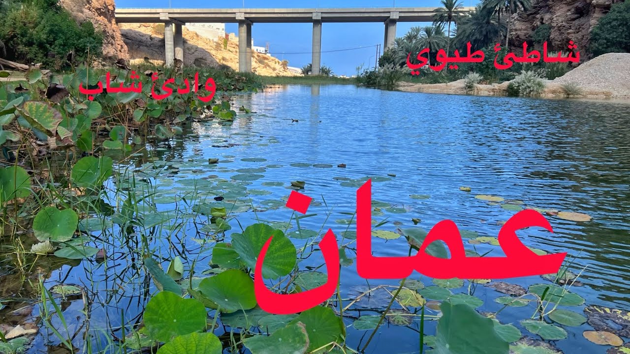 ( 328 ) رحلة ‏عمان ( ‏وادي شاب ) 7/12/2025 الجزء 7