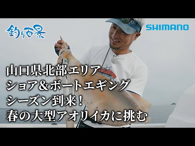 Fishing Scenes] #543 Shore and Boat Eging Season in Northern