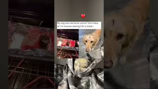 He Completed The Impossible