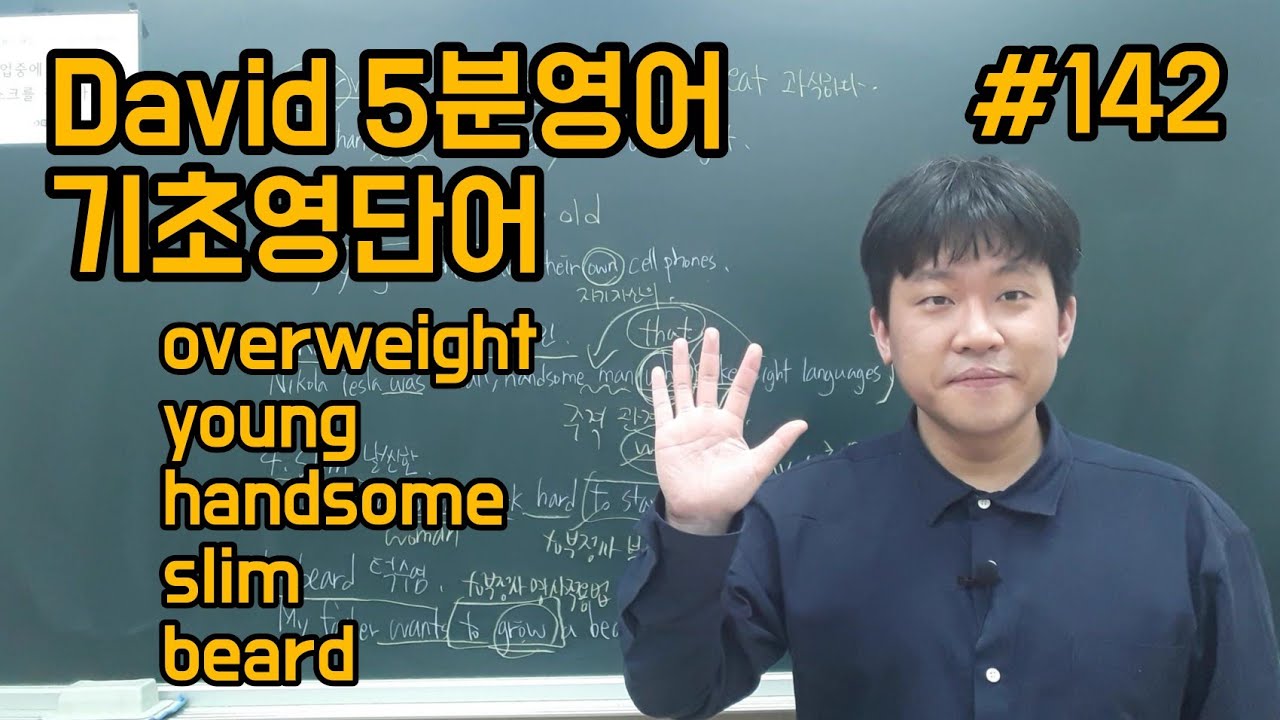 기초영어단어 142overweight young handsome slim beard//중학영어인강 기초영어문법 영어공부