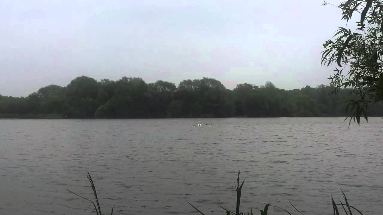 Carp fishing at catch 22 YouTube