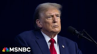 ‘Complete and utter B.S.’: Trump DEFINITELY knows his own team authoring Project 2025