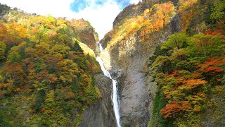 富山癒しの風景シリーズ【称名滝の紅葉】立山町