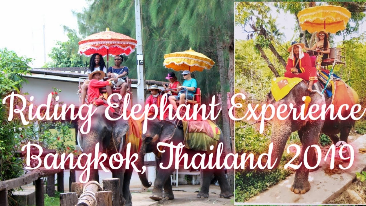 Elephant Ride in Bangkok, Thailand How much? YouTube