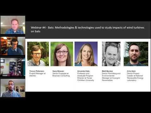 Wildlife & Wind Energy Webinar Series: Webinar #4 - Bats