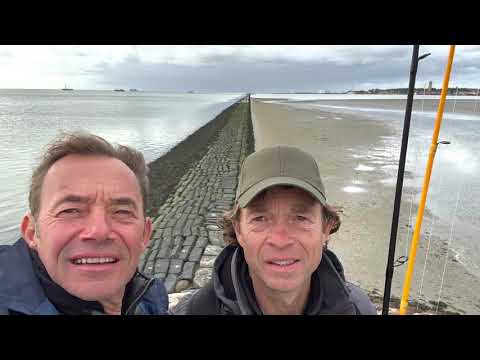 Dikke zeebaars West-Terschelling 13 oktober 2021