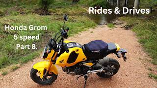 Rides & Drives - Honda Grom 5 Speed