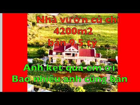 Bán biệt thự