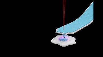 FluidFM CellEDIT Service