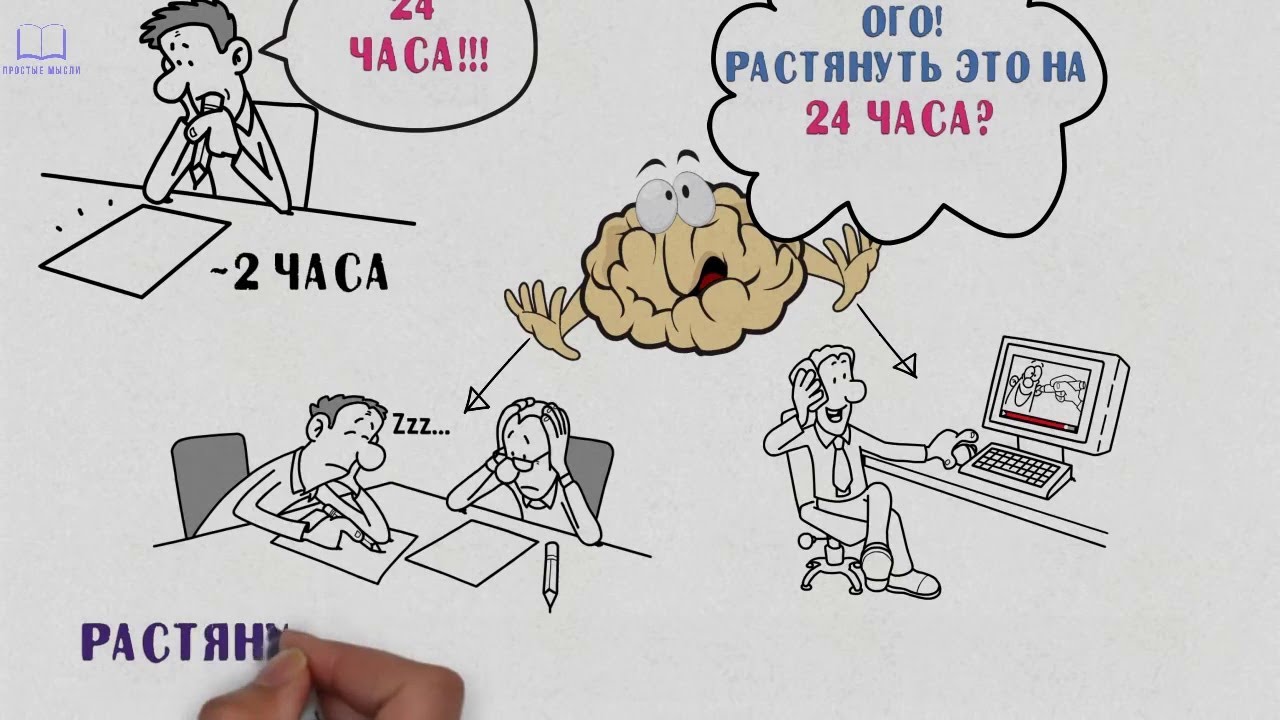 Законы Паркинсона в действии - YouTube