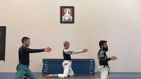 BJJ Mobility- Shinbox Series