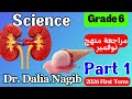 مراجعة شهر نوفمبر ساينس سادسة ابتدائى ترم اول 𝟐𝟎𝟐𝟔 𝐒𝐜𝐢𝐞𝐧𝐜𝐞 𝐆𝐫𝐚𝐝𝐞 6 𝐍𝐨𝐯𝐞𝐦𝐛𝐞𝐫 𝐑𝐞𝐯𝐢𝐬𝐢𝐨𝐧 𝐏𝐚𝐫𝐭 𝟏 