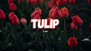Tulip .... Song Tulip