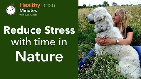 Stress Reducing Benefits of Time in Nature (Healthytarian Minutes ep. 4)
