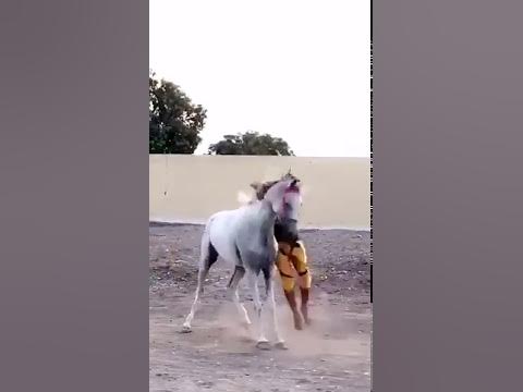 Мужик на коне - YouTube