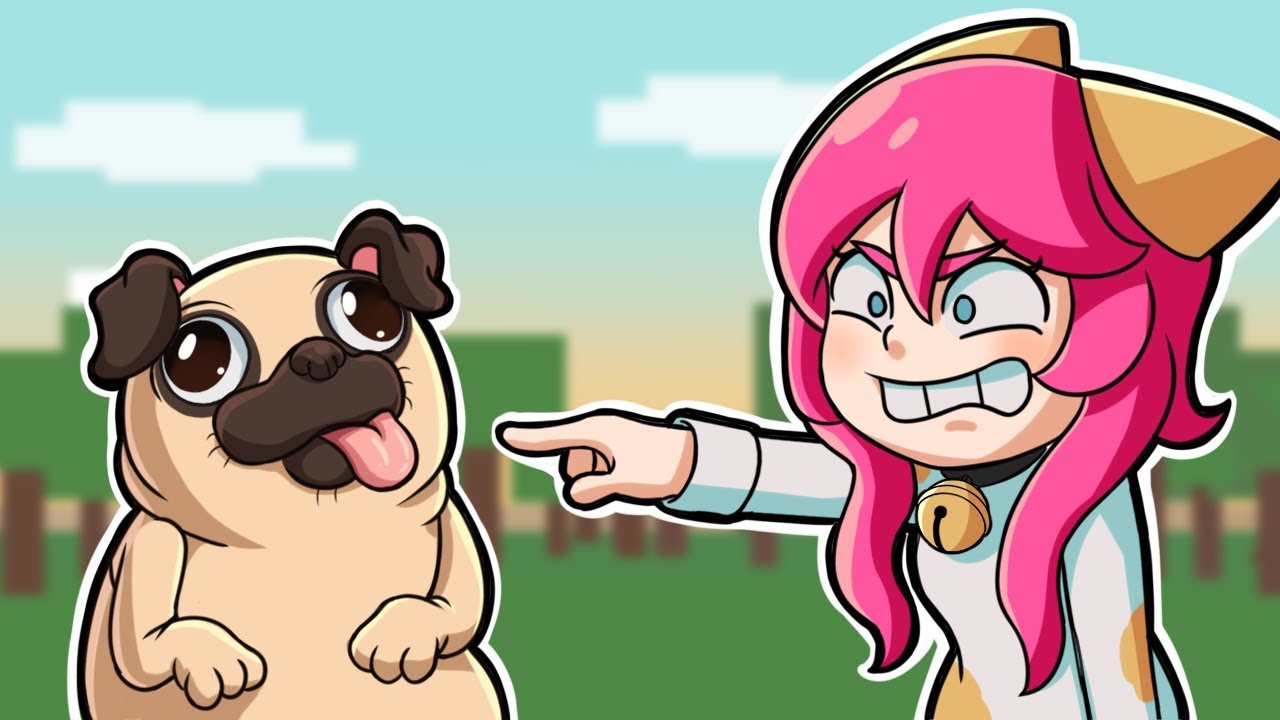 BATALHA DE CACHORRO VS GATO *NOVO CACHORRO DO MINGUADO*